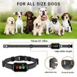 Rechargeable Electric Remote Dog Training Collar With Waterproof Dog Shock Collar for 3 dogs